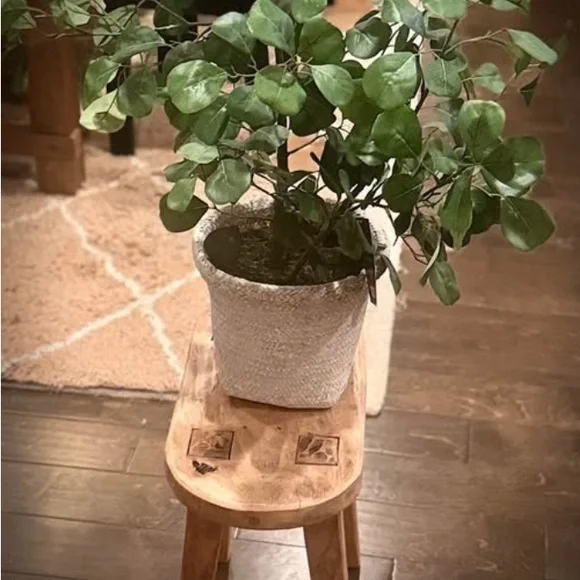 NWT Faux Ficus Tree - Threshold designed with Studio McGee - Picture 7 of 12